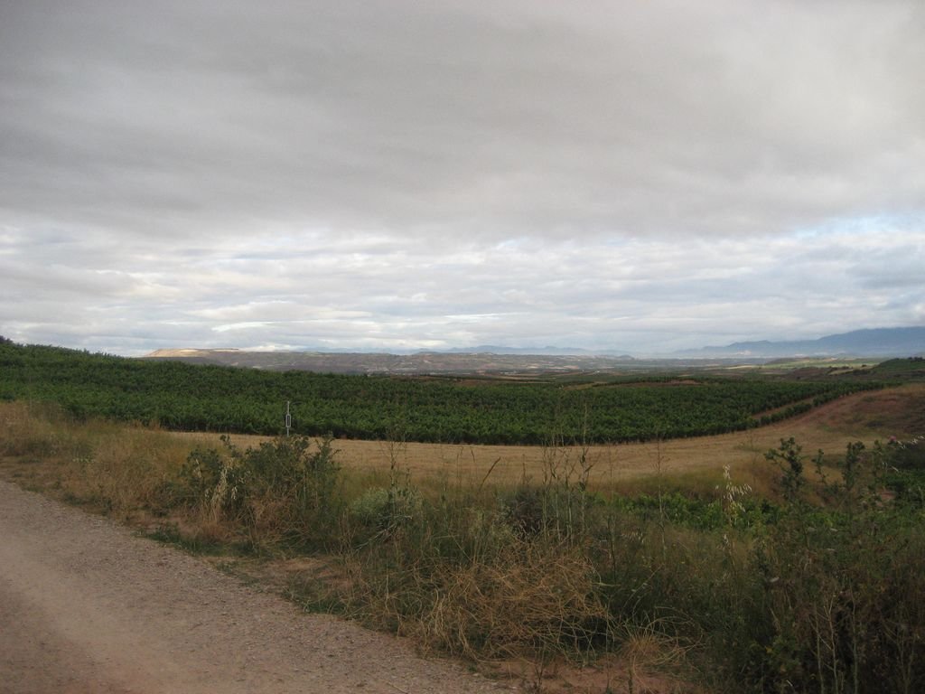 camino_santiago_2011_75.jpg